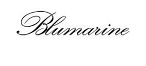 puntidivista-log-_0028_logo_fb_blumarine